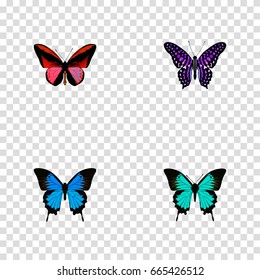 Realistic Copper, Polyommatus Icarus, Common Blue And Other Vector Elements. Set Of Beauty Realistic Symbols Also Includes Butterfly, Hairstreak, Bluewing Objects.