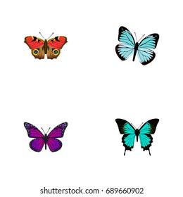 Realistic Copper, Purple Monarch, American Painted Lady And Other Vector Elements. Set Of Beauty Realistic Symbols Also Includes American, Hairstreak, Butterfly Objects.