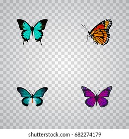 Realistic Copper, Purple Monarch, Milkweed And Other Vector Elements. Set Of Moth Realistic Symbols Also Includes Hairstreak, Brown, Monarch Objects.