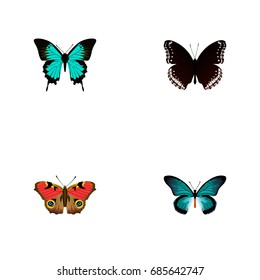 Realistic Copper, Spicebush, American Painted Lady And Other Vector Elements. Set Of Moth Realistic Symbols Also Includes Brown, Hairstreak, Black Objects.