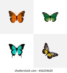 Realistic Copper, Summer Insect, Danaus Plexippus And Other Vector Elements. Set Of Beauty Realistic Symbols Also Includes Orange, Butterfly, Yellow Objects.