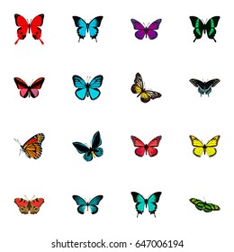 Realistic Copper, Summer Insect, Purple Monarch And Other Vector Elements. Set Of Moth Realistic Symbols Also Includes Bluewing, Sky, Yellow Objects.