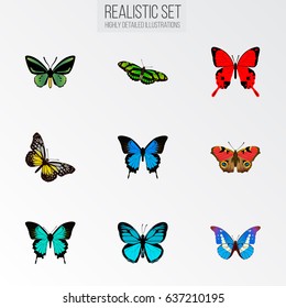 Realistic Copper, Summer Insect, Sangaris And Other Vector Elements. Set Of Butterfly Realistic Symbols Also Includes Morpho, Cypris, Red Objects.