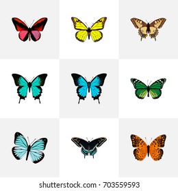 Realistic Copper, Tiger Swallowtail, Archippus And Other Vector Elements. Set Of Beauty Realistic Symbols Also Includes Butterfly, Swallowtail, Malachite Objects.