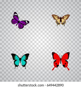 Realistic Copper, Tiger Swallowtail, Butterfly And Other Vector Elements. Set Of Butterfly Realistic Symbols Also Includes Blue, Bluewing, Purple Objects.