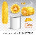 Realistic corn in cob, grains, baked buttered maize, canned product, set on transparent background isolated vector illustration