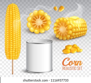 Realistic corn in cob, grains, baked buttered maize, canned product, set on transparent background isolated vector illustration