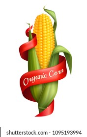 Realistic corn cob with green leaves and red ribbon on white background isolated vector illustration