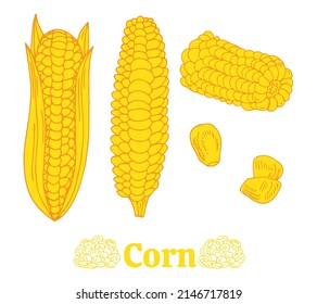 realistic corn sketch yellow set