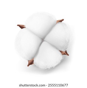 Realistic cotton boll mockup isolated on white background. Vector illustration. Ready for use in your design. EPS10.