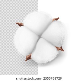 Realistic cotton boll mockup isolated on white and transparent background. Vector illustration. Ready for use in your design. EPS10.