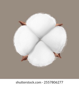 Realistic cotton boll mockup on colour background. Vector illustration. Ready for use in your design. EPS10.