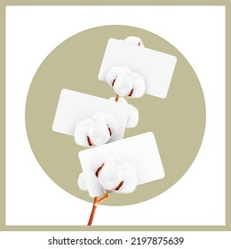 Realistic cotton branch along with cards. Vector illustration. Great for your message. EPS10.