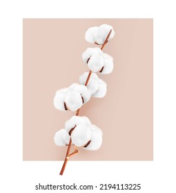 Realistic cotton branch on color background. Vector illustration. Great for your design. EPS10.	