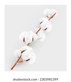 Realistic cotton branch on gray background. Vector illustration. Great for your design. EPS10.