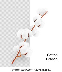 Realistic cotton branch on transparent background. Vector illustration. Great for your design. EPS10.