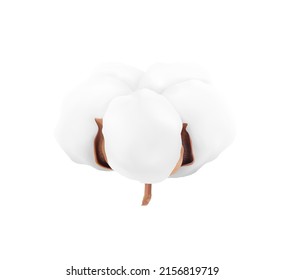 Realistic cotton isolated on white background. Vector illustration. Great for different backgrounds. 