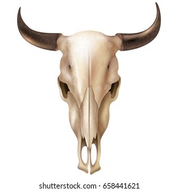 Realistic cow skull with stains and black shiny horns on white background isolated vector illustration