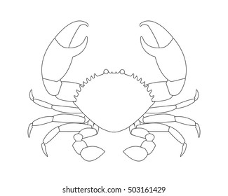 Realistic Crab In Outline For Coloring, Vector