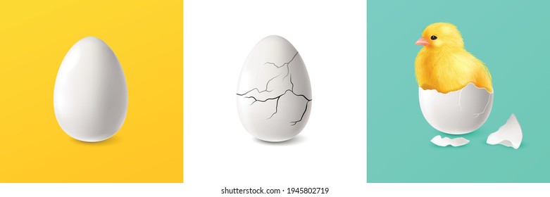 Realistic cracked egg and chicken square set isolated vector illustration