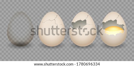 Realistic cracked eggs. Chicken 3d eggshell with crack, natural bird egg objects from incubator, vector illustration of chicken broken eggs with cracks and yolk isolated on transparent