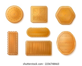 Realistic crackers. Isolated 3d sweet and salted cookies, crispy pastry, dry biscuits with holes, square and round shapes, delicious snack, bakery product, utter vector confectionery set