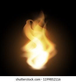 Realistic creative hot vector fire flames or blaze bonfire on dark background. Orange and yellow campfire in the night isolated on black background