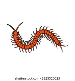 Realistic creepy crawly bug for educational designs.
