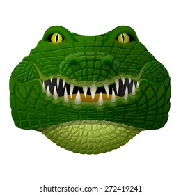 Realistic crocodile face looks ahead. Front view of isolated alligator head. Qualitative vector illustration for zoo, sports mascot, circus, wildlife, nature, etc