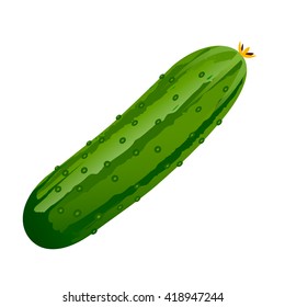 Realistic Cucumber isolated on white background. 