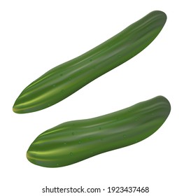 realistic cucumber on transparent background. high quality vector 