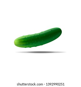 Realistic cucumber on a white background with a shadow.