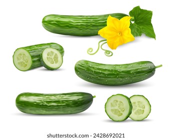 Realistic cucumber raw whole vegetable in slices, rings and half cut for veggie food, isolated vector 3D. Fresh green cucumber with plant flower, whole or cut in ring slices for vegetarian food