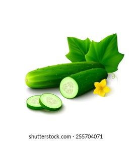 Realistic cucumber with slices, flower and leaves isolated on white background. Vector illustration.