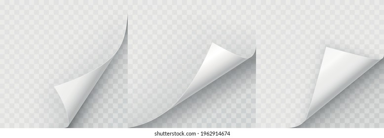 Realistic curled paper corners set. Mockup pages edge curl and bent papers. Curly page corner A4. 3D Page Curl with shadow - stock vector.