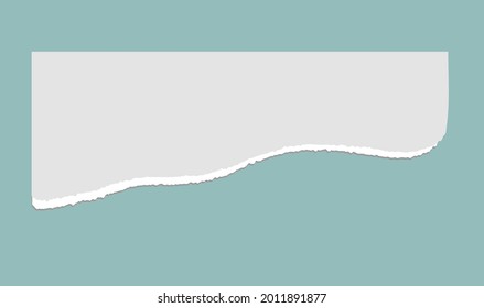 Realistic cut torn paper vector illustration EPS10