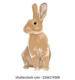 realistic cute bunny vector illustration beautiful hare easter bunny print design. symbol of the year