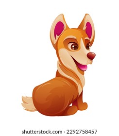 Realistic cute pet. Colorful sticker with fluffy corgi puppy. Portrait of small dog with charming muzzle and tail. Funny animal on walk. Cartoon vector illustration isolated on white background