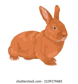 realistic cute red brown rabbit vector illustration hare easter bunny print design. symbol of the year