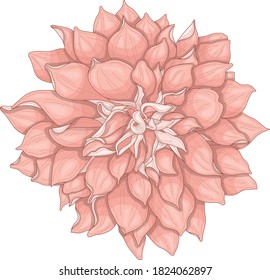 Realistic dahlia flower template. Cartoon colorful peony vector illustration for games, background, pattern, decor. Print for fabrics and other surfaces. 