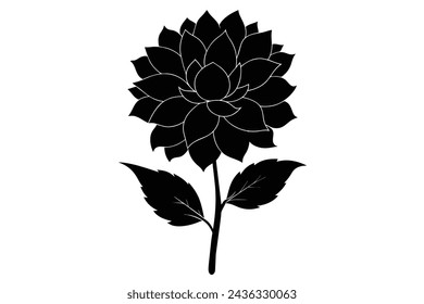 realistic dahlia flower vector illustration 