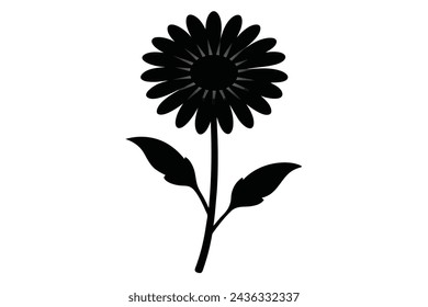  realistic daisy flower vector illustration