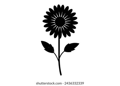  realistic daisy flower vector illustration