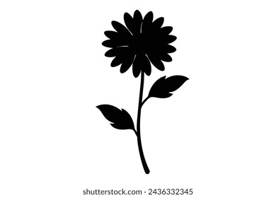  realistic daisy flower vector illustration