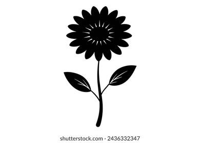  realistic daisy flower vector illustration