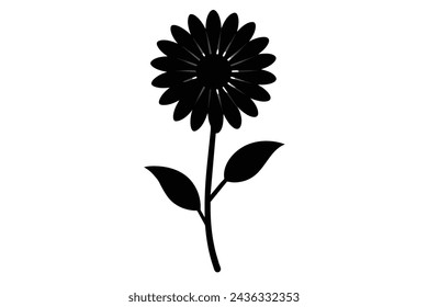  realistic daisy flower vector illustration