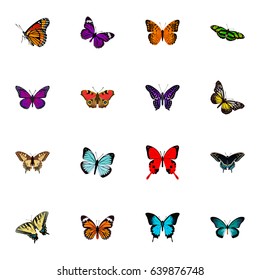 Realistic Danaus Plexippus, American Painted Lady, Checkerspot And Other Vector Elements. Set Of Beautiful Realistic Symbols Also Includes Orange, Beauty, Fly Objects.