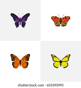 Realistic Danaus Plexippus, American Painted Lady, Archippus And Other Vector Elements. Set Of Butterfly Realistic Symbols Also Includes Butterfly, Monarch, Violet Objects.