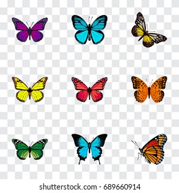 Realistic Danaus Plexippus, Archippus, Milkweed And Other Vector Elements. Set Of Moth Realistic Symbols Also Includes Butterfly, Orange, Green Objects.