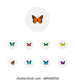Realistic Danaus Plexippus, Azure Peacock, Birdwing And Other Vector Elements. Set Of Butterfly Realistic Symbols Also Includes Malachite, Peacock, Monarch Objects.